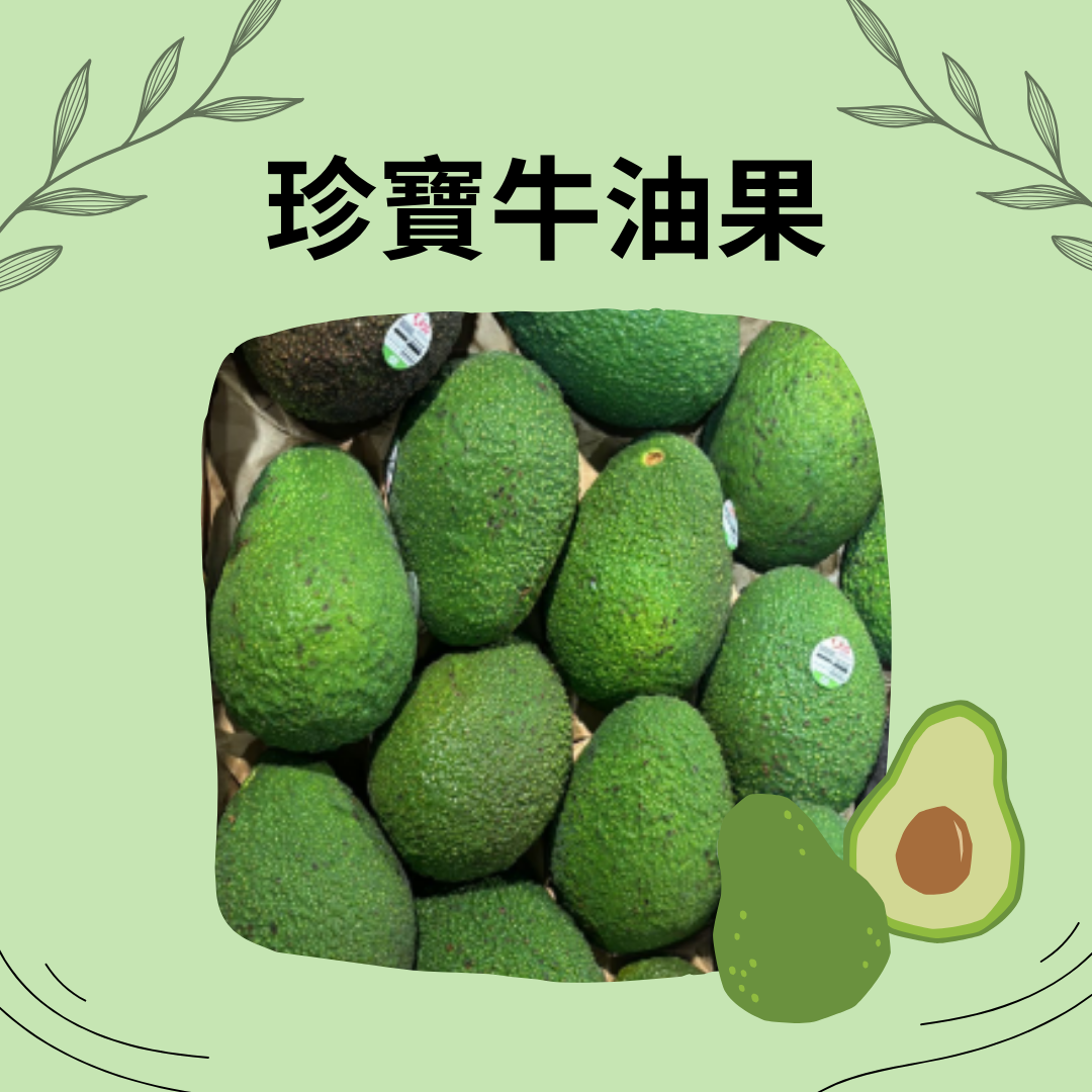 珍寶牛油果(個)