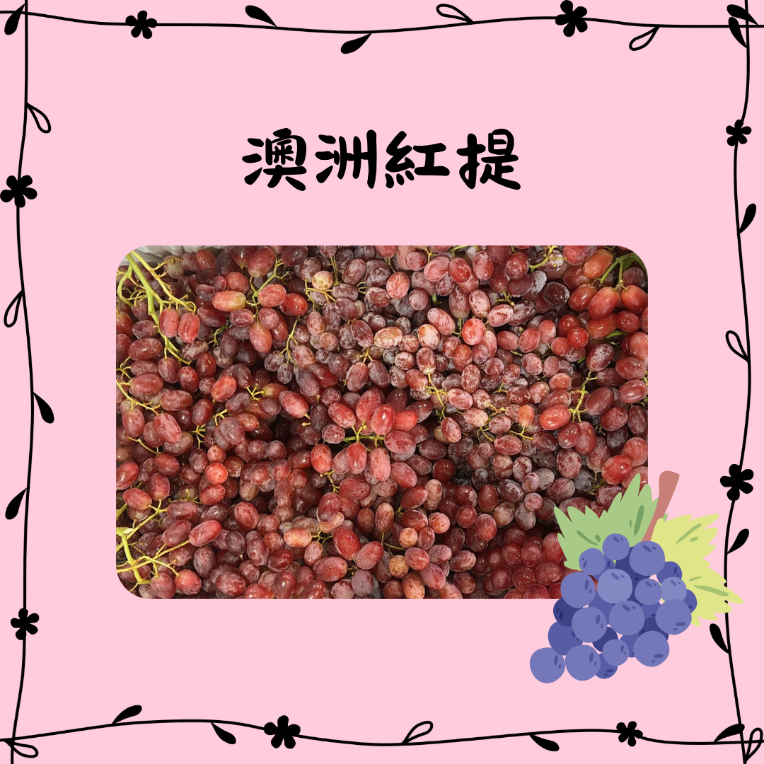 澳洲紅提